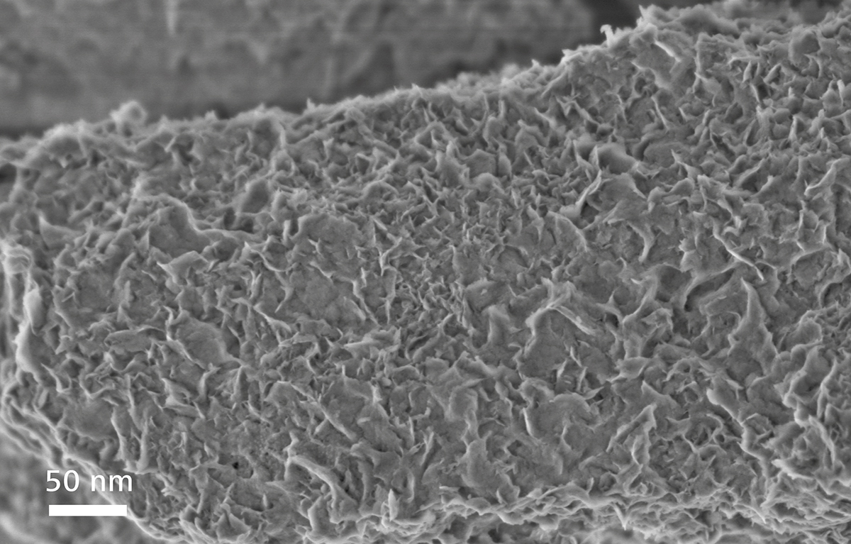 场发射云浮扫描电镜