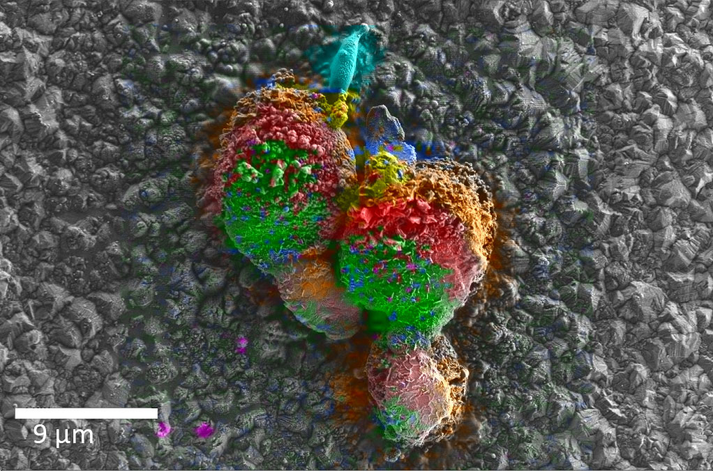 云浮云浮蔡司云浮扫描电镜