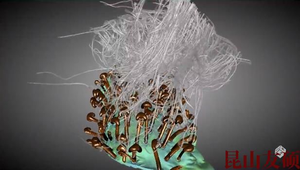 云浮蔡司云浮X射线显微镜